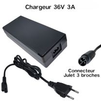 Chargeur 36v Lithium-ion 3A