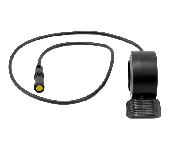 Accélérateur au pouce P1120312