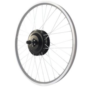 Moteur-roue-photo-detoure_300x300px