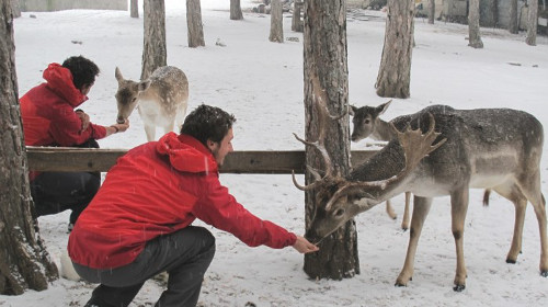 Cruiser électrique raid2